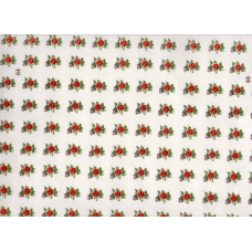 Ref. 78349 - DECALQUE  LARANJA